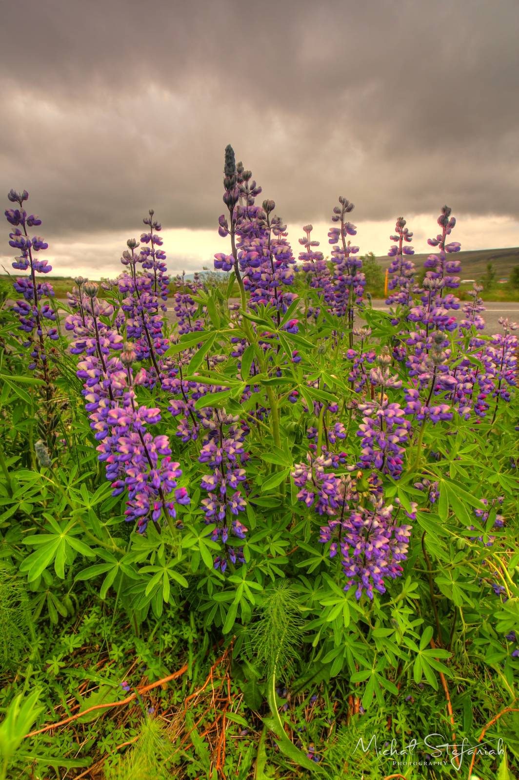 035 IMG 2315 6 7Enhancer